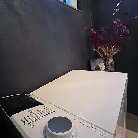 Lene's Flat דירה