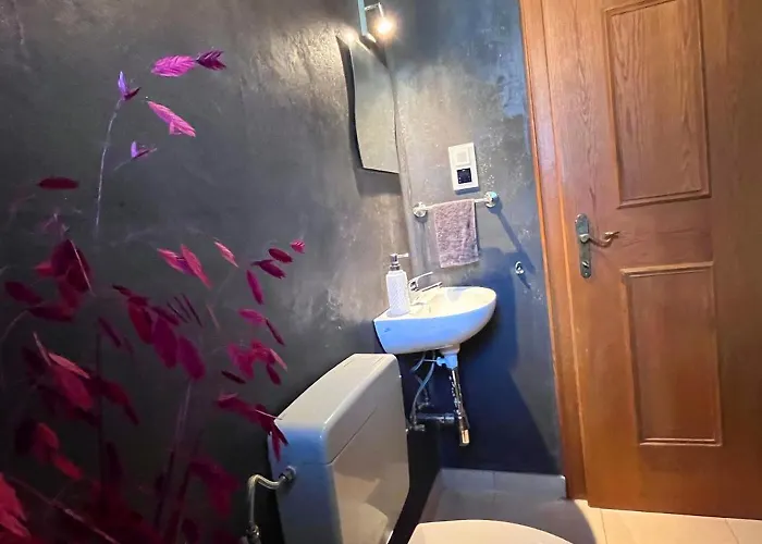 アパート Lene's Flat キッツビュール