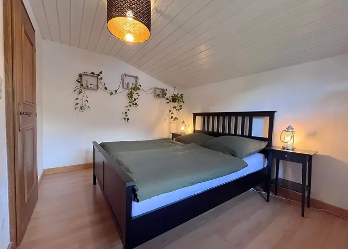 Lene's Flat アパート キッツビュール